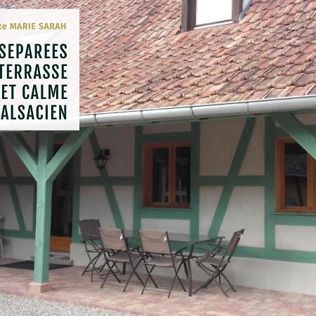 Gite Chez Marie-Sarah Petite Maison Calme Parking Ebersheim المظهر الخارجي الصورة